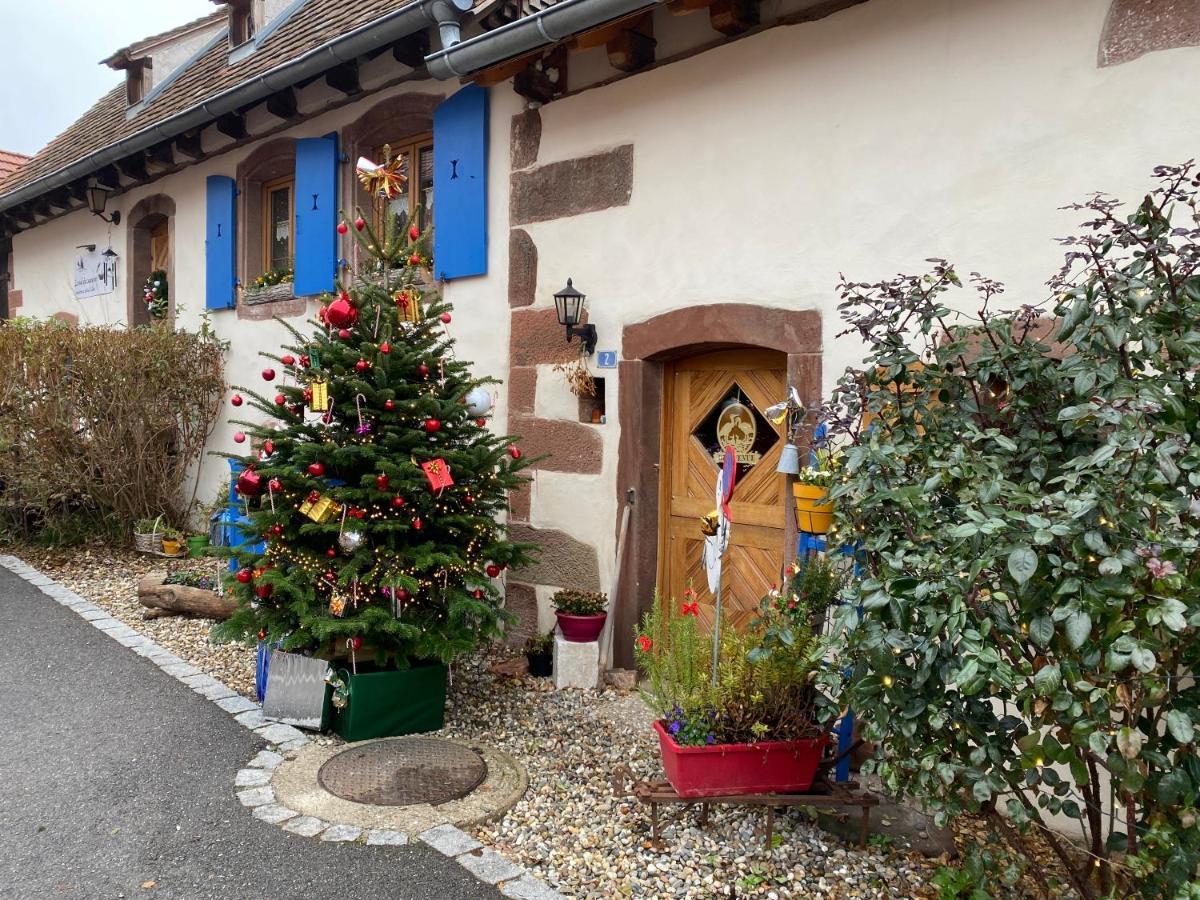 Hotel Le Nid De Cigognes Hengwiller Exteriér fotografie