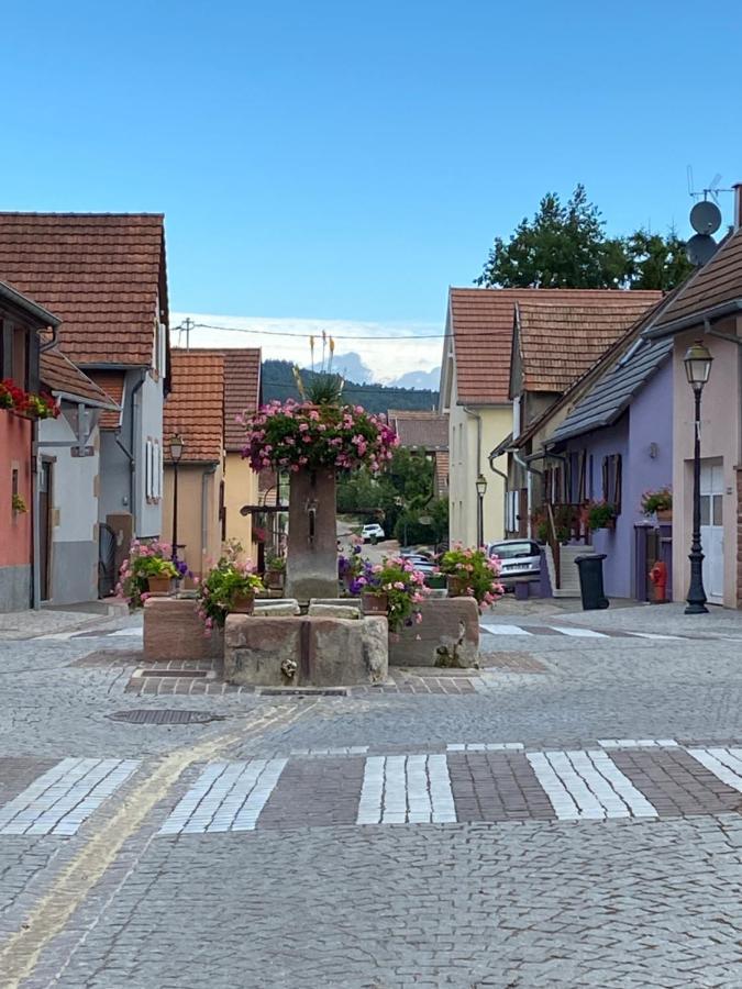 Hotel Le Nid De Cigognes Hengwiller Exteriér fotografie