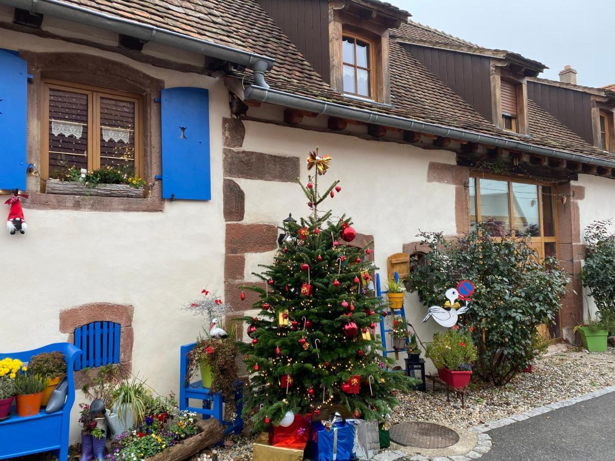 Hotel Le Nid De Cigognes Hengwiller Exteriér fotografie