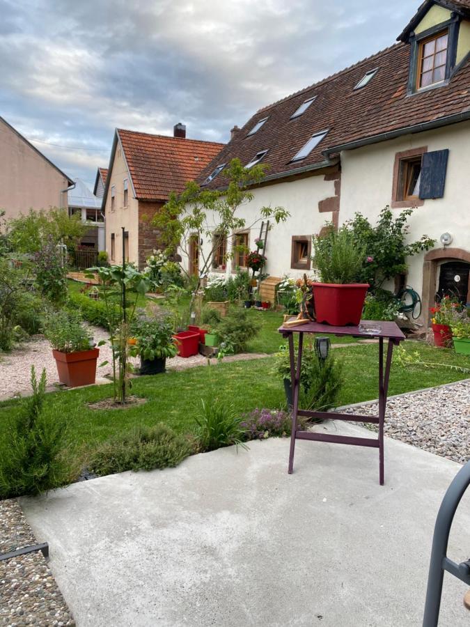 Hotel Le Nid De Cigognes Hengwiller Exteriér fotografie