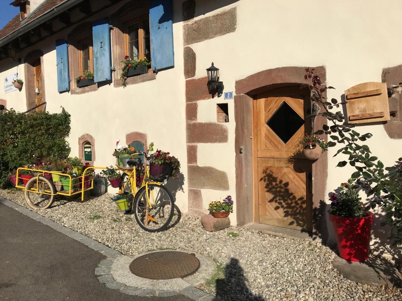 Hotel Le Nid De Cigognes Hengwiller Exteriér fotografie