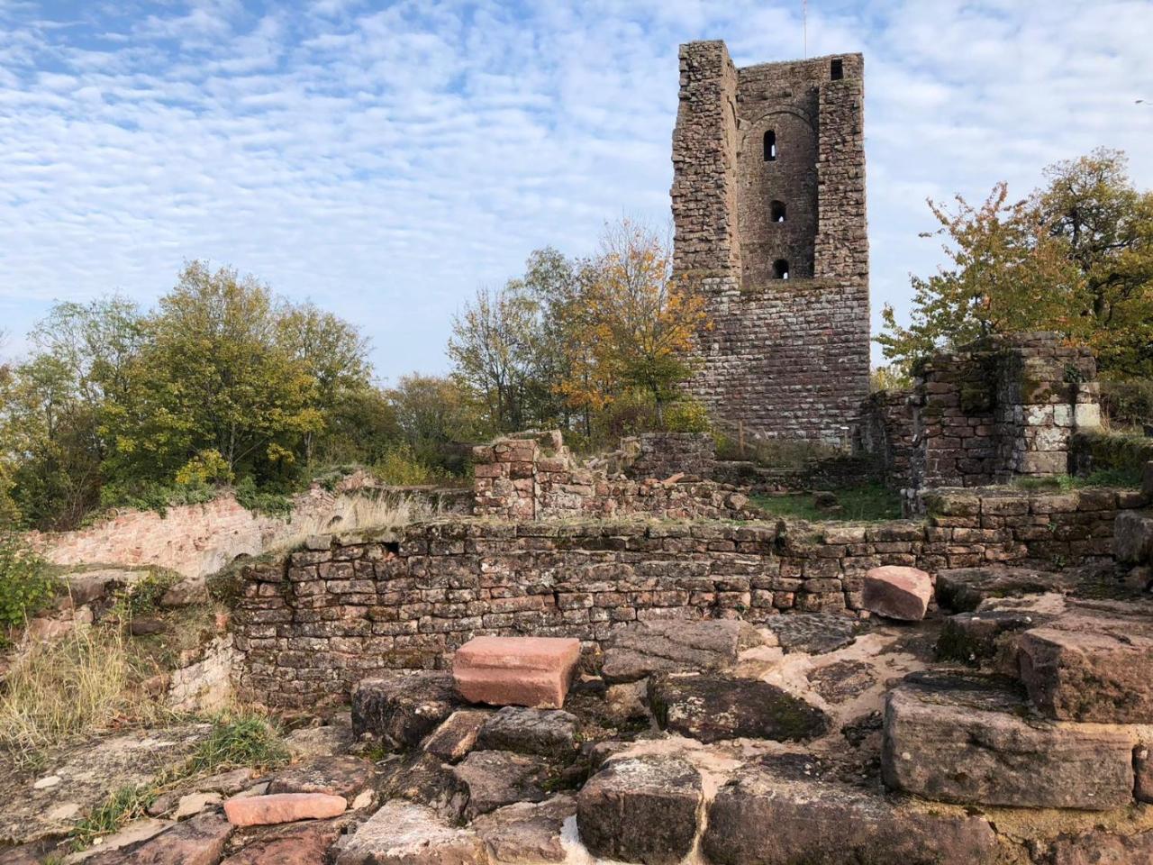 Hotel Le Nid De Cigognes Hengwiller Exteriér fotografie